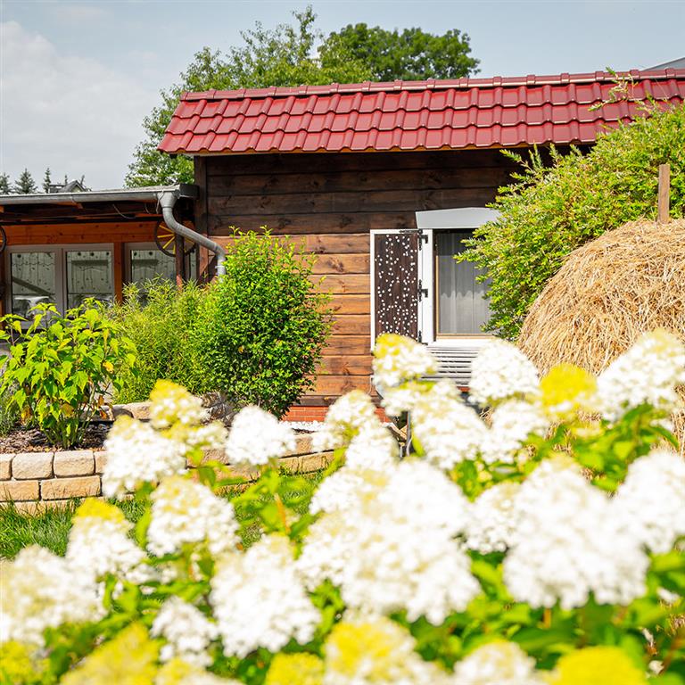 Spreewald_Pensionen_Luebbenau_Doorpage_Titelbild.jpg